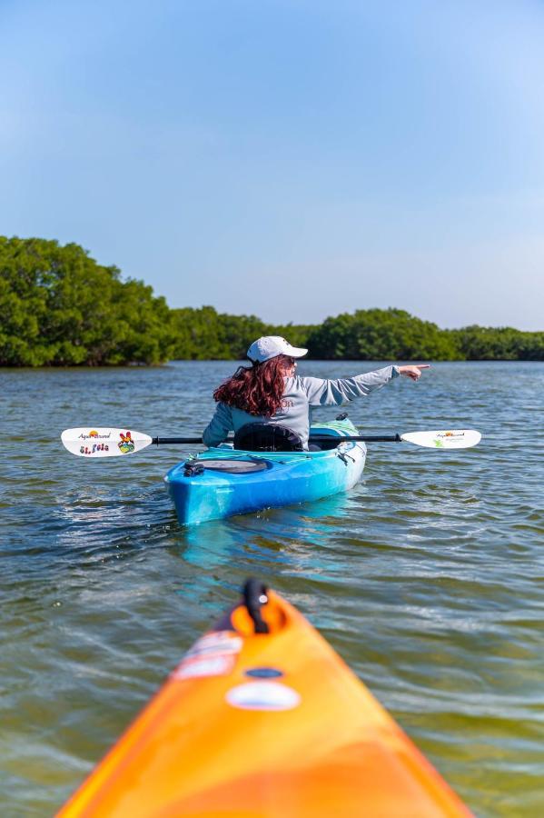 Candlewood Suites - Safety Harbor By Ihg Extérieur photo
